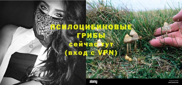 винт Верхний Тагил