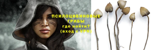 героин Верея