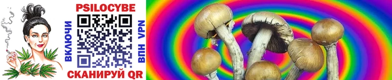 Псилоцибиновые грибы Cubensis  Купить  Волосово 